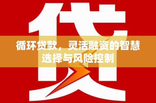 立山循环贷款，灵活融资的智慧选择与风险控制