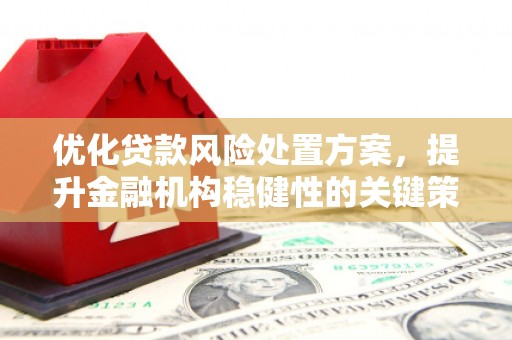 大洼优化贷款风险处置方案，提升金融机构稳健性的关键策略
