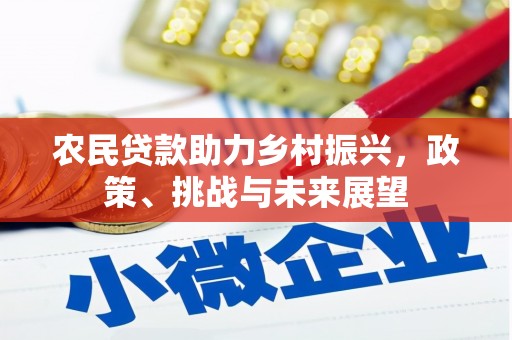 三星农民贷款助力乡村振兴，政策、挑战与未来展望