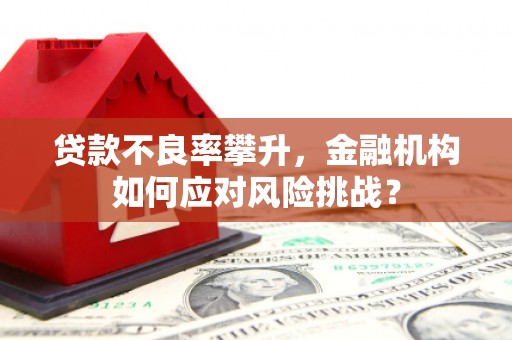 攀枝花贷款不良率攀升，金融机构如何应对风险挑战？