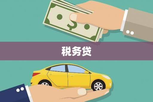 和县税务贷