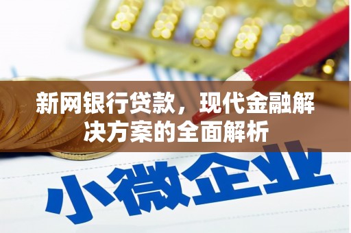 田林新网银行贷款，现代金融解决方案的全面解析