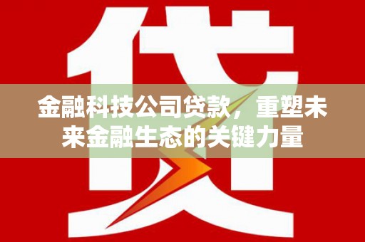 明光金融科技公司贷款，重塑未来金融生态的关键力量