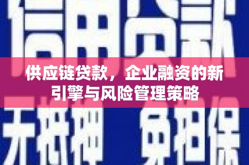 盐边供应链贷款，企业融资的新引擎与风险管理策略