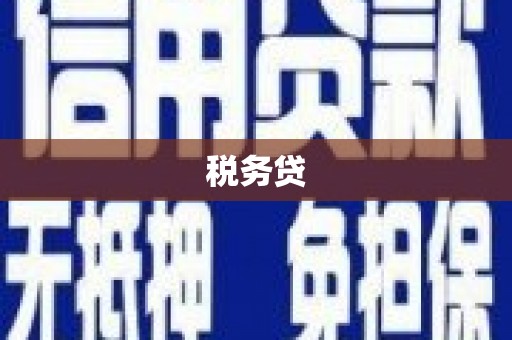 东营税务贷
