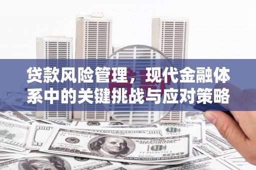嘉祥贷款风险管理，现代金融体系中的关键挑战与应对策略