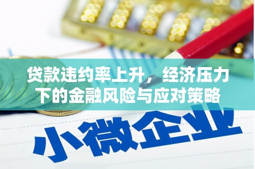 乾安贷款违约率上升，经济压力下的金融风险与应对策略