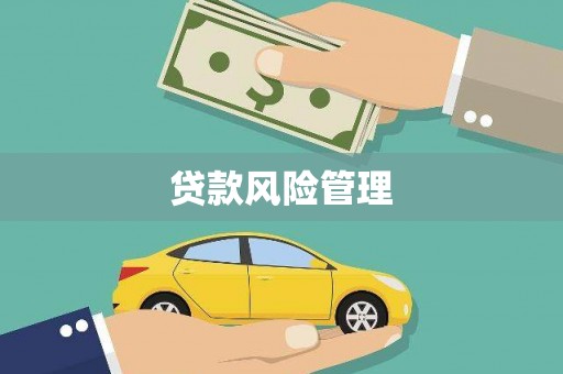 东凤贷款风险管理