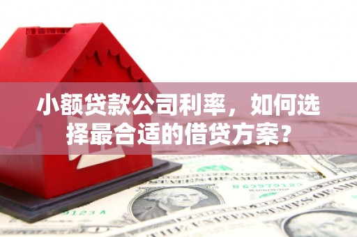 昌乐小额贷款公司利率，如何选择最合适的借贷方案？