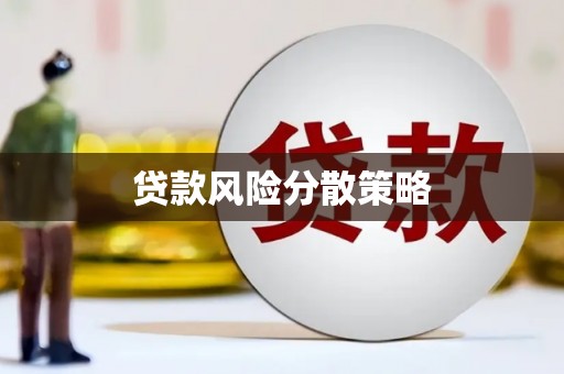 特克斯贷款风险分散策略