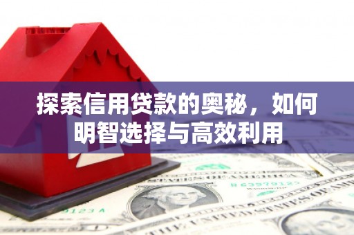 涟水探索信用贷款的奥秘，如何明智选择与高效利用