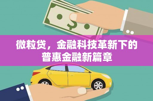 万源微粒贷，金融科技革新下的普惠金融新篇章
