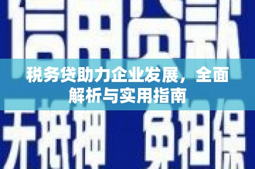 高安税务贷助力企业发展，全面解析与实用指南