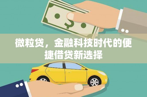 蓝山微粒贷，金融科技时代的便捷借贷新选择