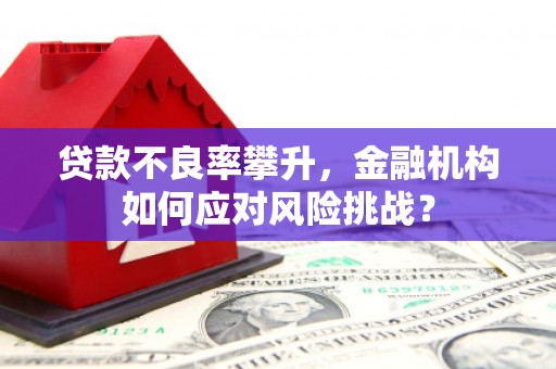 海陵贷款不良率攀升，金融机构如何应对风险挑战？