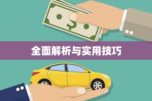 金城全面解析与实用技巧