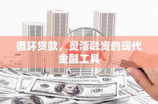弥陀循环贷款，灵活融资的现代金融工具