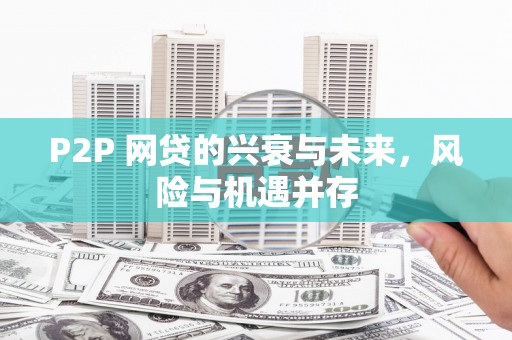 玛多P2P 网贷的兴衰与未来，风险与机遇并存