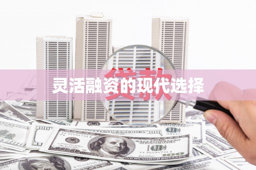 台西灵活融资的现代选择
