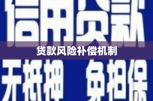 荔波贷款风险补偿机制