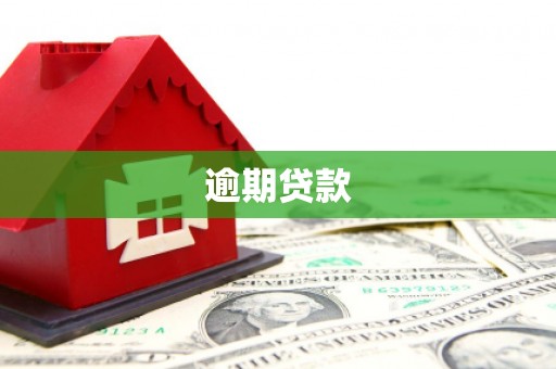 龙山逾期贷款