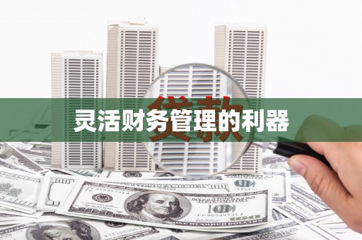 望谟灵活财务管理的利器