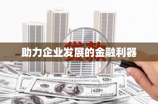 独山助力企业发展的金融利器