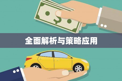 武功全面解析与策略应用