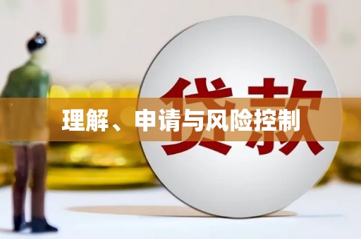 望奎理解、申请与风险控制