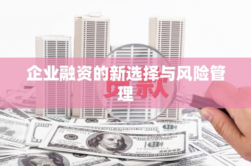 沈河企业融资的新选择与风险管理