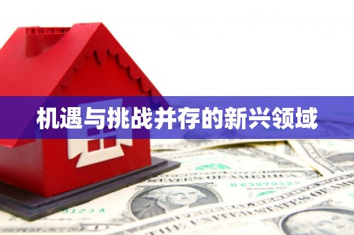 吉利机遇与挑战并存的新兴领域
