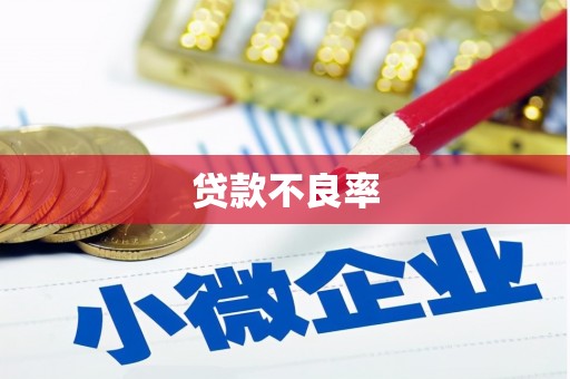 圣方济各堂区贷款不良率